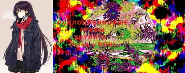 МДМА Арсеньев