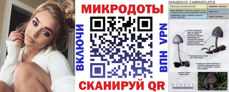 Купить закладки Петушки Галлюциногенные грибы мицелий